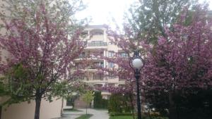 a building with pink flowering trees and a street light at Krassy summer apartment in Golden Sands