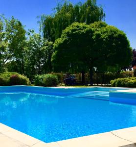 a blue swimming pool with a tree in the background at Casale Belriguardo in Ferrara