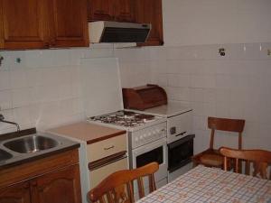 Кухня или мини-кухня в Apartments Pintar
