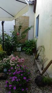a garden with a bench and flowers and an umbrella at Casa Elvira in Baratili San Pietro