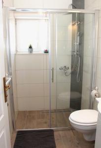 ein Bad mit einer Glasdusche und einem WC in der Unterkunft Martin Apartment in Šibenik