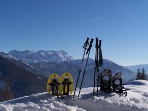 Hotel Tiroler Adler - bed and breakfast durante l'inverno