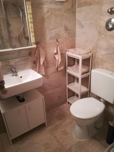 een badkamer met een wit toilet en een wastafel bij Ferienwohnung Amalie in Apolda