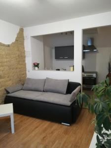 a black couch in a living room with a tv at Ferienwohnung Amalie in Apolda