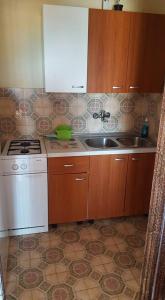 Kuchyň nebo kuchyňský kout v ubytování Apartments Alissa