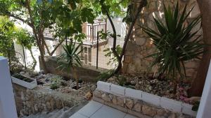 un jardín con palmeras y una pared de piedra en Apartments Alissa, en Hvar