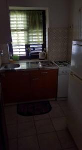 Kuchyň nebo kuchyňský kout v ubytování Apartments Alissa