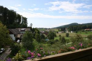 Paesaggio naturale nelle vicinanze dell'affittacamere