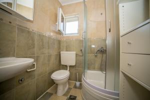 ein Bad mit einem WC, einem Waschbecken und einer Dusche in der Unterkunft Apartman Bangel in Lokva Rogoznica