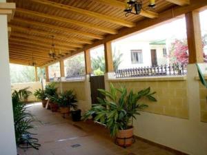 a patio with potted plants and a building with a roof at Apartamentos María Del Carmen in Torremolinos