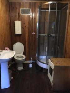 W łazience znajduje się prysznic, toaleta i umywalka. w obiekcie Domek Okonin w mieście Elgiszewo