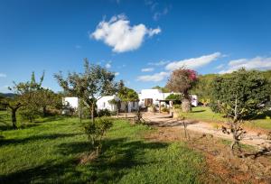 a view of a garden with trees and buildings at Can Caseres in Santa Eularia des Riu