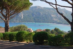 Příroda nedaleko vily