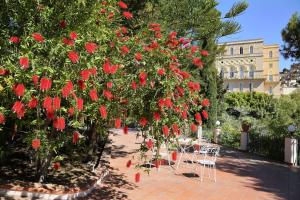 Vonkajšia záhrada v ubytovaní Excelsior Palace Hotel
