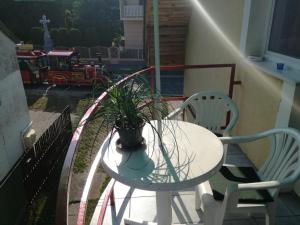 Posedenie v ubytovaní Fox Apartmanok