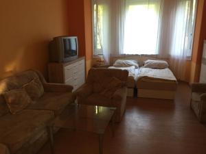 TV a/nebo společenská místnost v ubytování Pálma Apartmanház Siófok