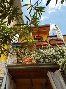 Un mucchio di piante sul lato di un edificio di Dora Baltea Monolocale primo piano Mansarda secondo piano a Verona