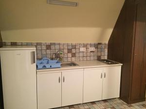 Kuchyňa alebo kuchynka v ubytovaní Pálma Apartmanház Siófok