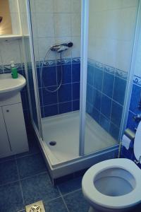 ein Bad mit einer Dusche, einem WC und einem Waschbecken in der Unterkunft Favilla üdülőház in Bogács