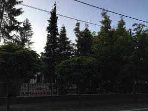 Fotografia z galérie ubytovania Pálma Apartmanház Siófok v Siófoku