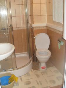 スヴェティ・ヴラスにあるNick's Apartment in Sviati Vlasのバスルーム(トイレ、シャワー、シンク付)