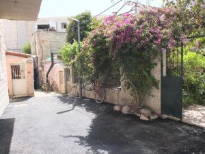 una bicicleta está estacionada junto a una pared con flores en Central old stone Jerusalem apartment, en Jerusalén