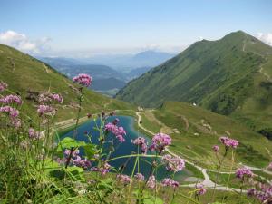 Cette chambre offre une vue sur une vallée de montagne ornée de fleurs violettes. dans l'établissement Haus Keti, à Riezlern 53 autres photos