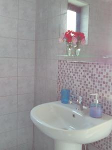 Een badkamer bij Enalion Apartments
