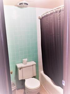 a bathroom with a toilet and a black shower curtain at Hickory House Inn in Dexter