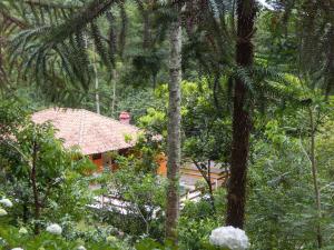 Um jardim em Pousada Ribeirao da Floresta