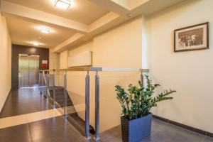 Fotografia z galérie ubytovania Apartamenty Granitica Zakopane v Zakopanom