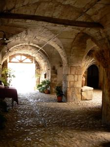 an old stone building with arches and plants in it at Residence Il Palazzo in Santo Stefano di Sessanio