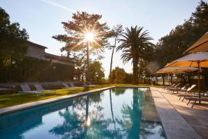 uma piscina com guarda-sóis e cadeiras e uma árvore em La Pescaia Resort em La Pescaia