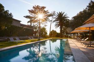 a swimming pool with umbrellas and chairs and a tree at La Pescaia Resort in La Pescaia