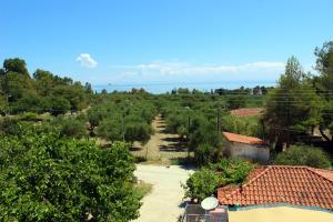 Gallery image of Zante Yliessa in Vasilikos
