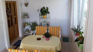 stół i krzesło w pokoju z roślinami w obiekcie Guest house Fenix Brela w Breli