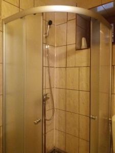 a shower with a shower head in a bathroom at Casuta Paterau Cheia, Prahova in Cheia