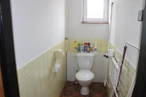 Elle comprend une petite salle de bains pourvue de toilettes et d'une fenêtre. dans l'établissement Apartmán Lužnická, Soběslav, à Soběslav