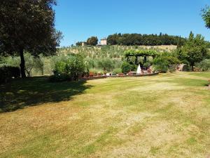 Ogród w obiekcie Villa La Torricella
