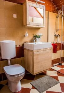 a bathroom with a toilet and a sink at Apartments BBI in Luče