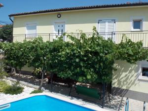 eine Villa mit einem Pool vor einem Haus in der Unterkunft Aurelia Apartment in Ližnjan