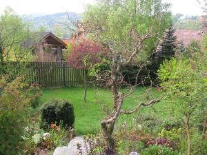 Zahrada ubytování Apartma Marcella Liberec