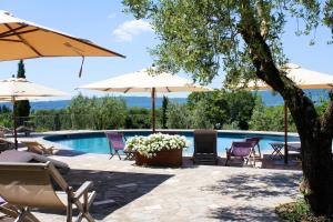 a swimming pool with chairs and umbrellas next to a pool at Agriturismo La Valle Di Vico in Caprarola