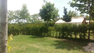 Zahrada ubytování Glamping Agricampeggio Tognoni