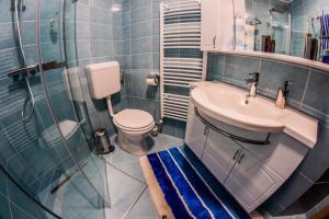 a bathroom with a toilet and a sink and a shower at Apartments BBI in Luče