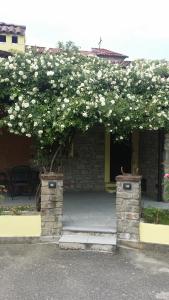 Galeriebild der Unterkunft La Casa Di Valerio in Montabone