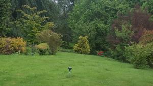 a parking meter in the middle of a grass field at Camden House in Aubry-le-Panthou