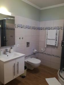 a bathroom with a toilet and a sink and a shower at Namelis prie marių in Nida +19 photos