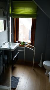 a bathroom with a sink and a toilet and a window at La Maison Brodée in Écaussinnes-dʼEnghien