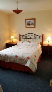 a bedroom with a large bed with red flowers on it at Fairgreen Cottages in Dungloe